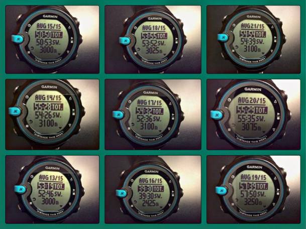 11928627_1016573021707550_1030374564_n