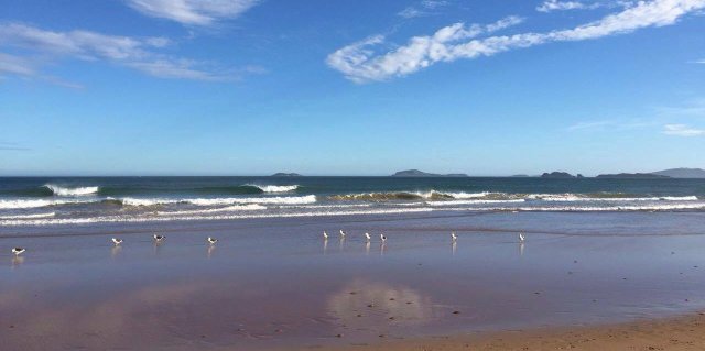 16593792_10154489136785787_1726880964_o