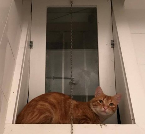 17148687_10206564725037261_34684257_o