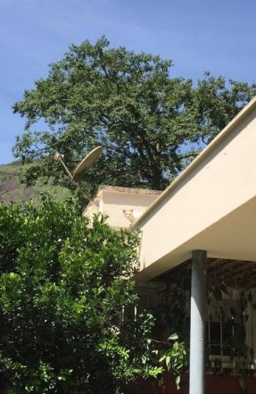 17453522_1473372309360950_993428170_o