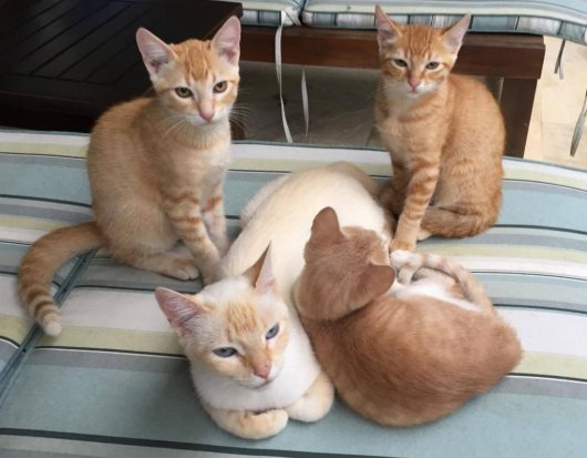 17499929_1473846382646876_1932229526_o