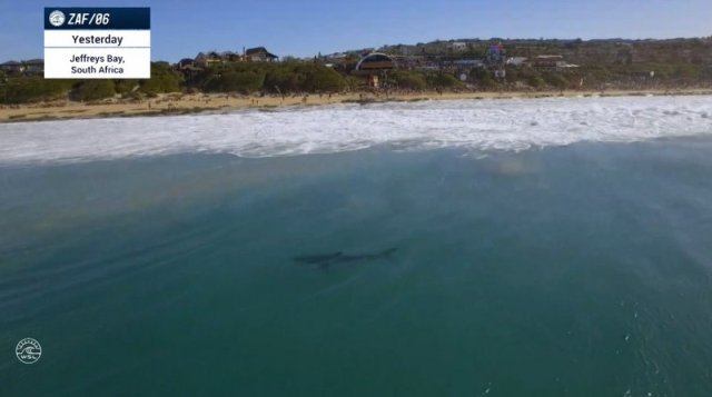 Captura de tela inteira 20072017 094607