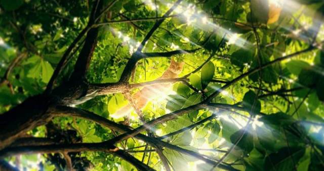 27144673_10210854136968777_1594984897_o