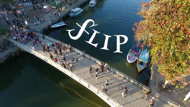 Screen Shot 2019-07-21 at 09.54.47